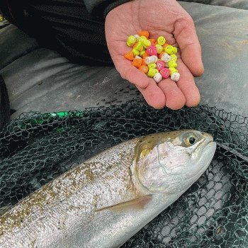 fjuka lurebait forelle